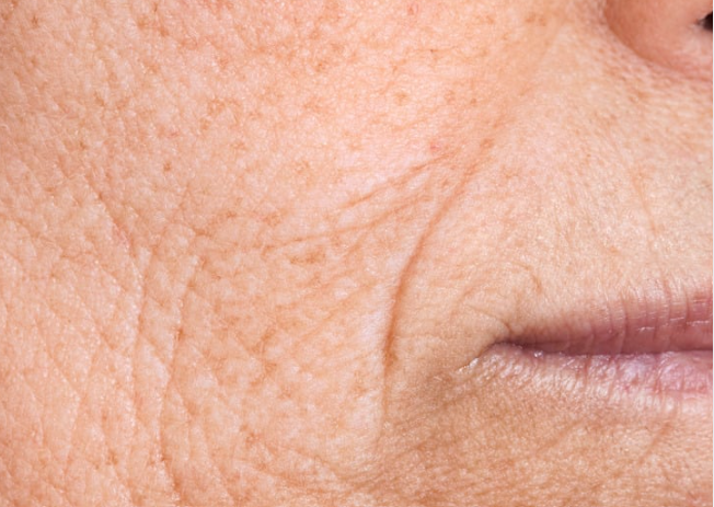 A close-up of an older woman's face, highlighting her wrinkles and the wisdom reflected in her expression.